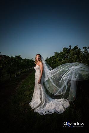 Apple Farm wedding