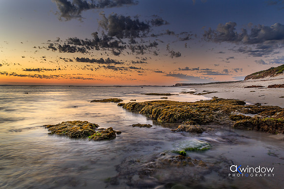 Low Tide, Port Macdonnell